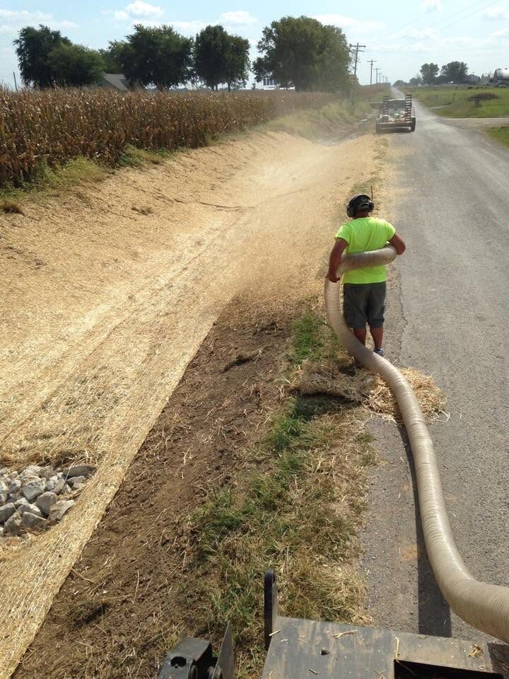 Grass seeding project